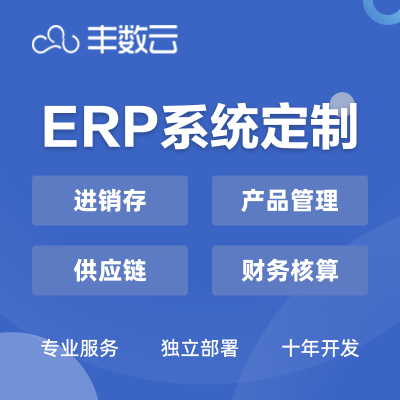 豐數網絡 引領企業數字化變革的互聯網技術專家與綜合服務供應商